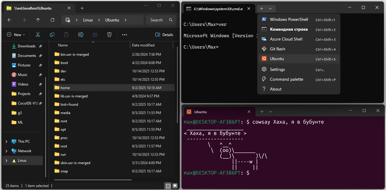 WSL demo
